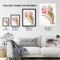 "Artery8 Frederick Sander Cattleya Lawrenceana Orchid Flowers Wall Art Print - Size: W12"" x H16""" - thumbnail 3