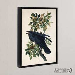 "Artery8 Birds of America Raven Audubon Nature Black Framed Canvas Wall Art in White - Size: W12"" x H16""" - thumbnail 2