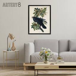 "Artery8 Birds of America Raven Audubon Nature Black Framed Canvas Wall Art in White - Size: W12"" x H16""" - thumbnail 3