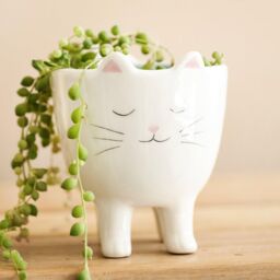 Lisa Angel Women's Sleepy Standing Cat Planter in White - Size: Small