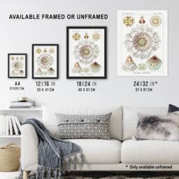 "Artery8 Vintage Jellyfish Ocean Marine Haeckel Botanical Wall Art Print Poster in White - Size: W12"" x H16""" - thumbnail 3