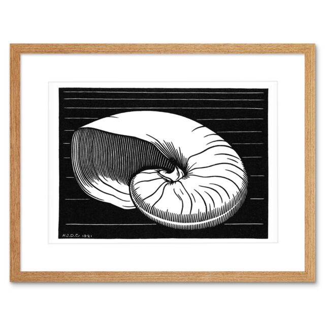 "Artery8 Wall Art Print Shell Julie De Graag Art Framed 9x7 inch in Beige - Size: W7"" x H9""" - image 1