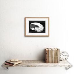 "Artery8 Wall Art Print Shell Julie De Graag Art Framed 9x7 inch in Beige - Size: W7"" x H9""" - thumbnail 2