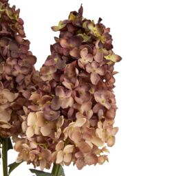 Hill Interiors Spear Hydrangea Artificial Flower in Burgundy - thumbnail 3