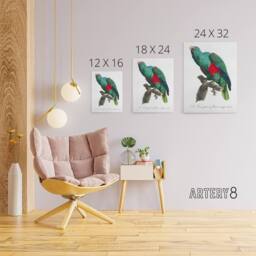 "Artery8 Eclectus Roratus Parrot Francois Levaillant Canvas Wall Art Print in White - Size: W12"" x H16""" - thumbnail 4