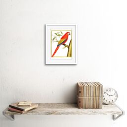 "Artery8 Wall Art Print Bird Red Parrot Art Framed 9x7 inch in White - Size: W7"" x H9""" - thumbnail 2