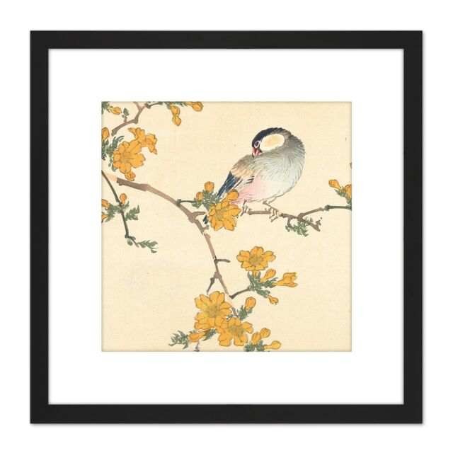 Artery8 Kono Bairei Songbird on Flowering Branch 8X8 Inch Square Wooden Framed Wall Art Print Picture with Mount in Black - image 1