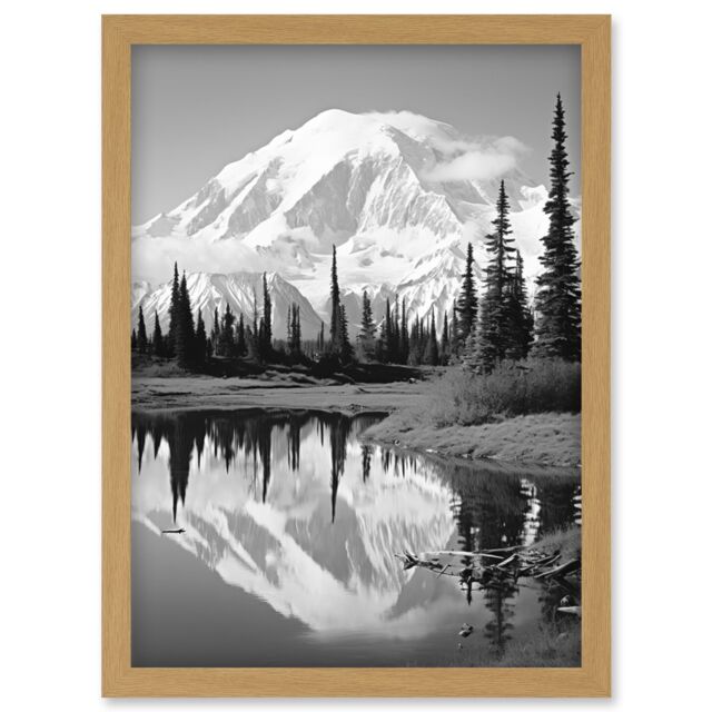 Artery8 Wall Art Print Mount McKinley Reflecting on Wonder Lake Tranquil Water Black & White Photograph Scenic Mountain Valley Landscape Artwork - image 1