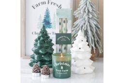 KDMD Set of 6 Pinecone Tealight Candles in Grey - thumbnail 5