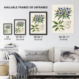 Artery8 New Zealand Teteaweka Plant Flowers Featon Framed Wall Art Print in Beige - Size: A4 - thumbnail 3