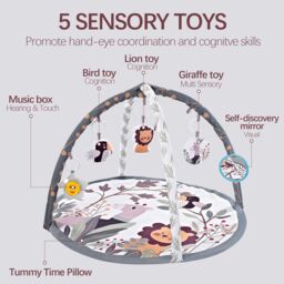 Alivio Baby Play Mat with Activity Gym for Infants & Newborns in Grey - thumbnail 4