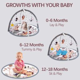Alivio Baby Play Mat with Activity Gym for Infants & Newborns in Grey - thumbnail 5