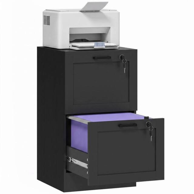 HOMCOM 2-Drawer File Cabinet, Lockable Filing Cabinet for A4 Letter, Black - image 1
