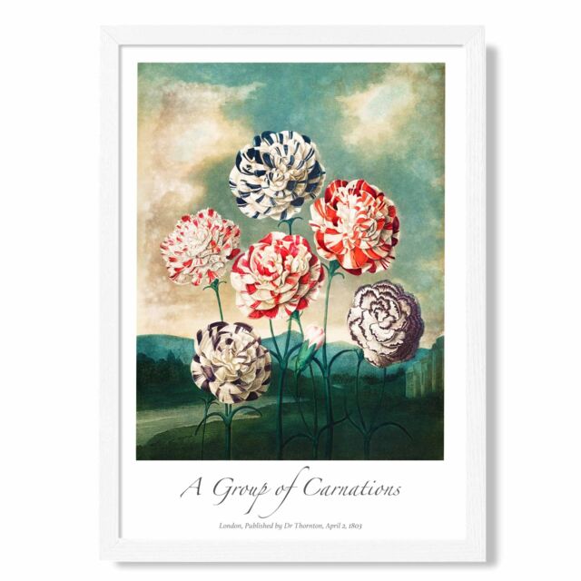 ARTZE Vintage Floral Exhibition - Carnation Flowers Framed Print SIZE: A3 with White Frame in Red - Size: A4 - image 1