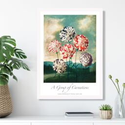 ARTZE Vintage Floral Exhibition - Carnation Flowers Framed Print SIZE: A3 with White Frame in Red - Size: A4 - thumbnail 2