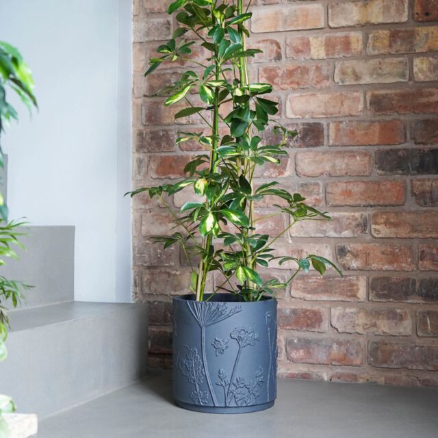 Royal Botanic Gardens Kew Kew Stoneware Meadow Planter Midnight 21cm in Grey - image 1