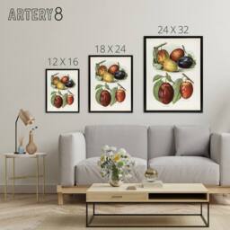"Artery8 Plum Varieties Vintage illustration Wright Framed Canvas Wall Art in White - Size: W18"" x H24""" - thumbnail 4
