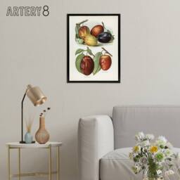 "Artery8 Plum Varieties Vintage illustration Wright Framed Canvas Wall Art in White - Size: W18"" x H24""" - thumbnail 3