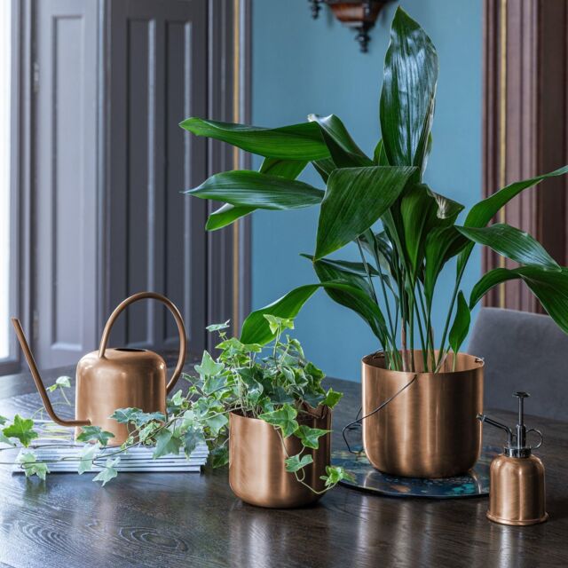 Royal Botanic Gardens Kew Kew Matt Copper Plant Mister 14Cm - image 1