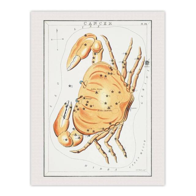 "Artery8 Vintage Cancer Constellation Illustration Hall Wall Art Poster Print in White - Size: W12"" x H16""" - image 1