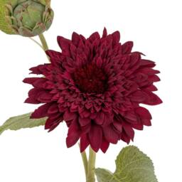 Hill Interiors Raven Dahlia Artificial Flower in Burgundy - thumbnail 2