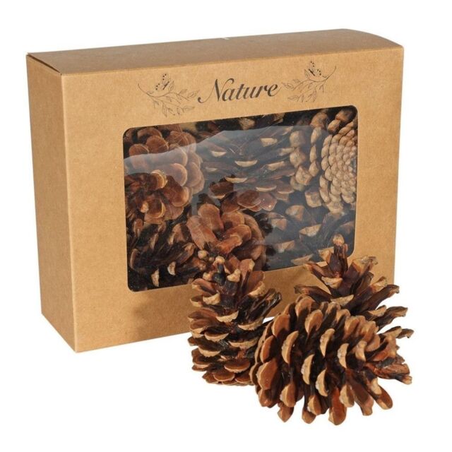 Garden Greatness Box of 9 Natural Dried Autumn Pine Cones Set in Brown - Size: 1 Pack