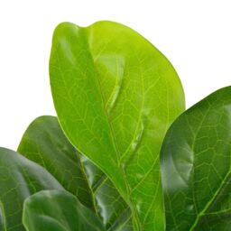 Berkfield Home Artificial Plant Fiddle Leaves with Pot Green 90 cm - thumbnail 2