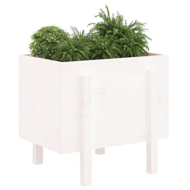 Berkfield Home Beautiful Garden Planter White 62x50x57 cm Solid Wood Pine - Size: 62 x 50 x 57 cm - image 1