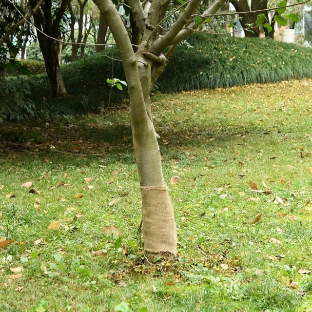 Berkfield Home Jute Roll 0.25x50 m 100% Jute 200 gsm - image 1