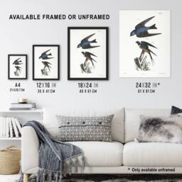Artery8 James De Kay White Bellied & Barn Swallow Framed Wall Art Print - Size: A4 - thumbnail 3