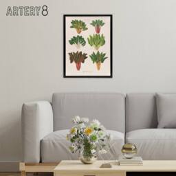 "Artery8 Beet or Swiss Chard Vegetables Ernst Benary Framed Canvas Wall Art in White - Size: W12"" x H16""" - thumbnail 3