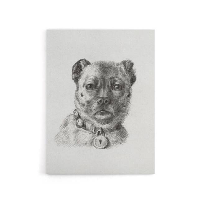"Artery8 Dog head with a Collar Pencil Drawing Bernard Canvas Wall Art in White - Size: W18"" x H24""" - image 1