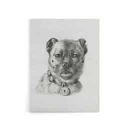 "Artery8 Dog head with a Collar Pencil Drawing Bernard Canvas Wall Art in White - Size: W18"" x H24""" - thumbnail 1