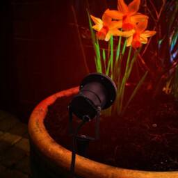 SPETLEK Red & black LED Garden Spike Ground Outdoor Light - thumbnail 4