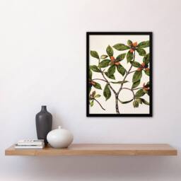 Artery8 Sarah Featon Framed Wall Art New Zealand Tawhiri Karo Plant Illustration in Beige - Size: A4 - thumbnail 2