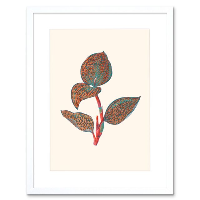 "Artery8 Wall Art Print Primary Coloured Exotic Flora Art Black Framed 9x7 inch in White - Size: W7"" x H9""" - image 1