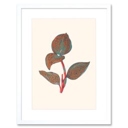 "Artery8 Wall Art Print Primary Coloured Exotic Flora Art Black Framed 9x7 inch in White - Size: W7"" x H9""" - thumbnail 1