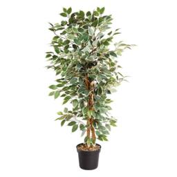 mysmartbuy Artificial Weeping Fig Plant - Faux Tall Green Houseplant Tree in Pot - thumbnail 2