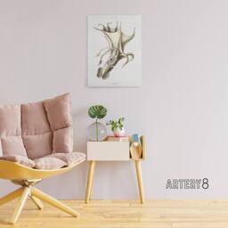 "Artery8 cockeyed squid illustration Carl Chun Canvas Wall Art Print in White - Size: W12"" x H16""" - thumbnail 3