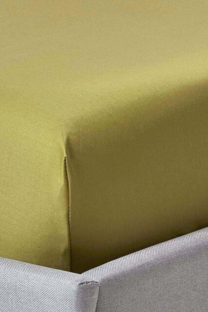 Homescapes Egyptian Cotton Fitted Sheet 12 inch 1000 Thread Count in Olive - Size: Single Fitted - image 1