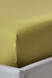 Homescapes Egyptian Cotton Fitted Sheet 12 inch 1000 Thread Count in Olive - Size: Single Fitted - thumbnail 1
