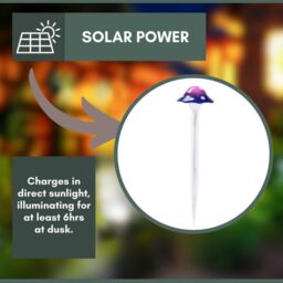 Marco Paul 35cm Purple Resin Mushroom Solar Powered Stake Light - thumbnail 3