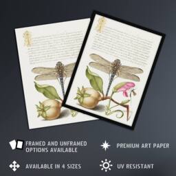 "Artery8 Dragonfly Pear & Carnation Calligraphy Wall Art Poster Print in White - Size: W12"" x H16""" - thumbnail 2
