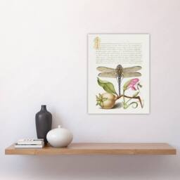 "Artery8 Dragonfly Pear & Carnation Calligraphy Wall Art Poster Print in White - Size: W12"" x H16""" - thumbnail 4