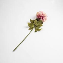 Scottish Everlastings Ltd 73cm Lilac Peony Stem Pk3 - thumbnail 2