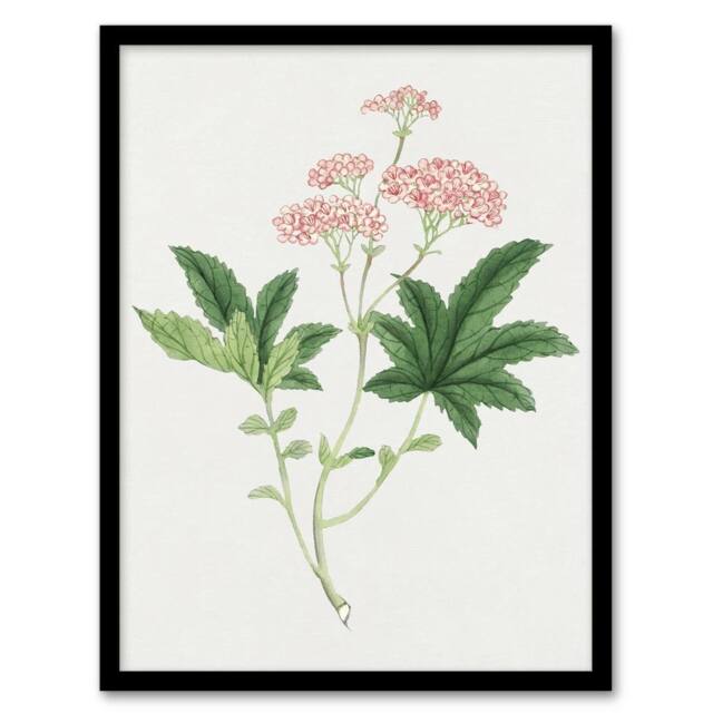 Artery8 Shimotsuke Flower Framed Wall Art Print Vintage Japanese Botanical in Pink - Size: A4 - image 1