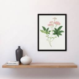Artery8 Shimotsuke Flower Framed Wall Art Print Vintage Japanese Botanical in Pink - Size: A4 - thumbnail 4