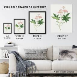 Artery8 Shimotsuke Flower Framed Wall Art Print Vintage Japanese Botanical in Pink - Size: A4 - thumbnail 3