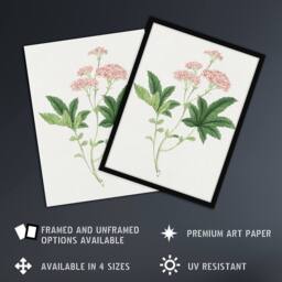 Artery8 Shimotsuke Flower Framed Wall Art Print Vintage Japanese Botanical in Pink - Size: A4 - thumbnail 2