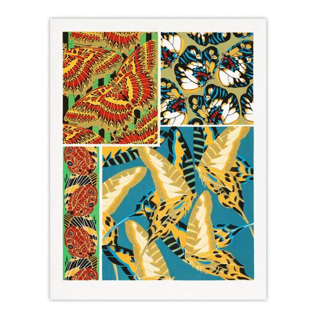"Artery8 Vintage Butterflies Bright Pattern Vintage Wall Art Print Seguy - Size: W12"" x H16""" - image 1
